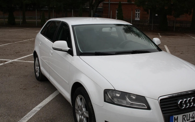 Audi A3 cena 31900 przebieg: 162700, rok produkcji 2010 z Jarocin małe 254